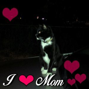 Meet your Posher, Brenda